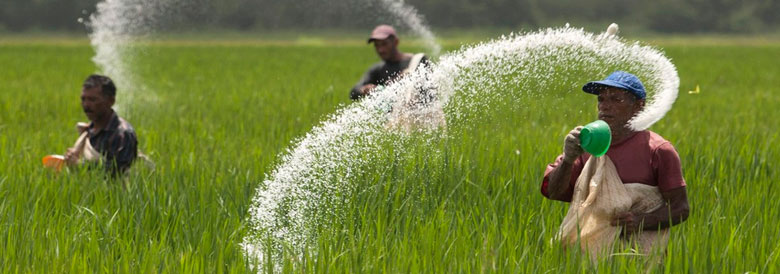 Fertilizers market in a pivot point?